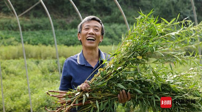 种植致富经视频_种草致富经_种植致富草视频