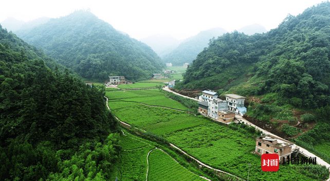 种草致富经_种植致富草视频_种植致富经视频