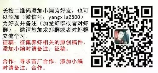 龙虾养殖视频技术_龙虾养殖新技术模式_小龙虾养殖新技术