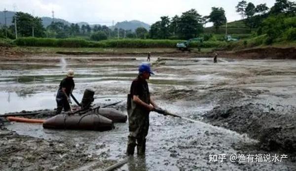 冬季室内怎样种香椿_冬季香椿种植技术视频_冬季种植香椿方法