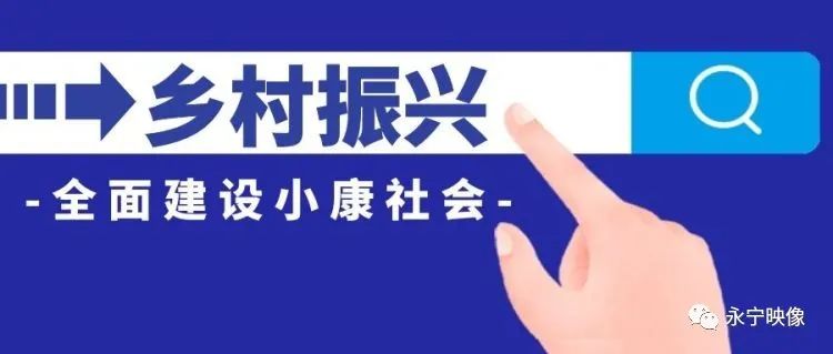 致富养牛创业视频_养殖致富项目牛_肉牛养殖盼致富