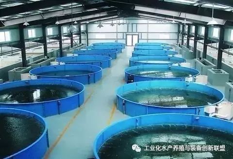 水产养殖淡水鱼_室内淡水水产养殖技术_淡水养殖项目