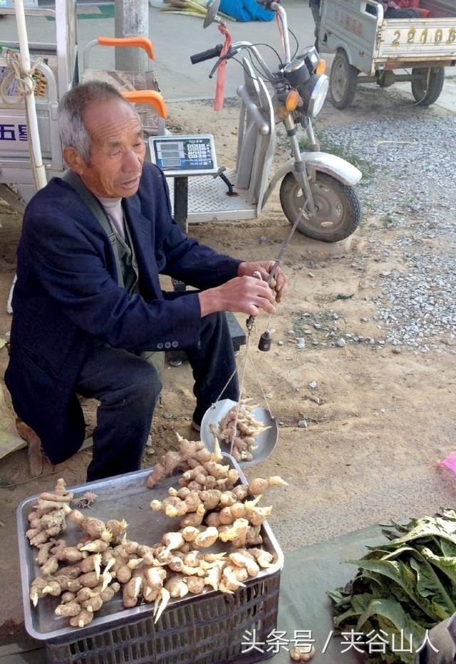 姜芽如何变成大块生姜，有50年经验的张老汉教你如何种生姜