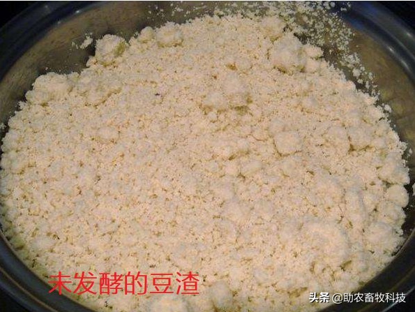 豆渣科学发酵与配料养鱼新技术，不散开水体中节约饲料改善水质