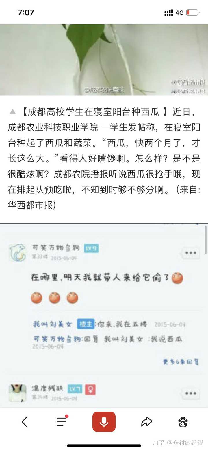 农广天地鲶鱼养殖技术视频_已婚男人说没把我当外人_杨梅树上虫子