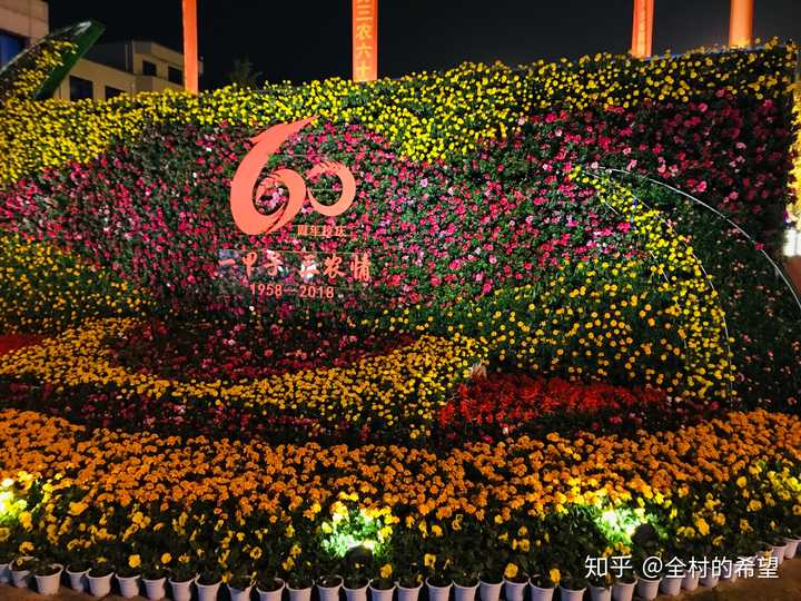 已婚男人说没把我当外人_农广天地鲶鱼养殖技术视频_杨梅树上虫子