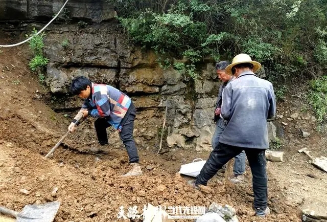 志愿者杨启成：大山作伴牛羊为伍闯出致富路