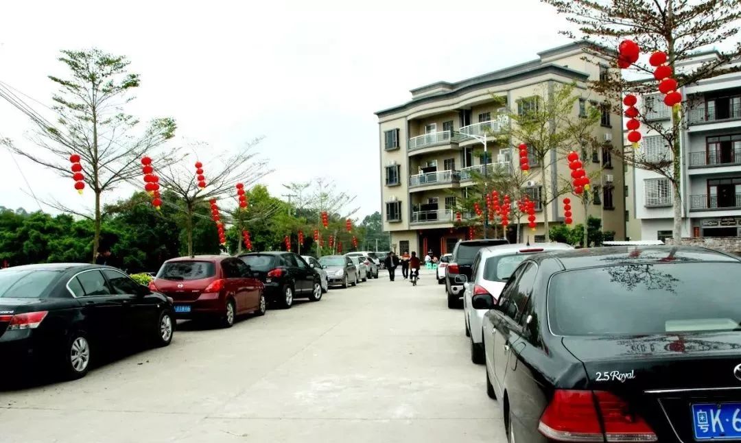 橘红种植技术_种植橘红引领致富_种植橘红的市场前景