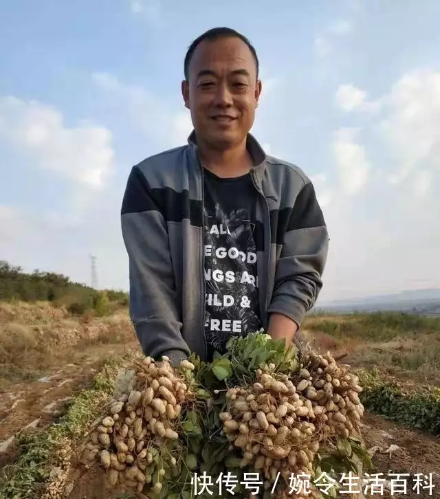 莱阳农作物_莱阳种植大棚的哪里多_莱阳种植致富