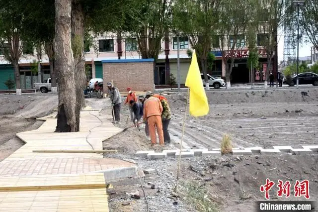 农村种植花卉的销路_农民花卉种植致富_种花致富经