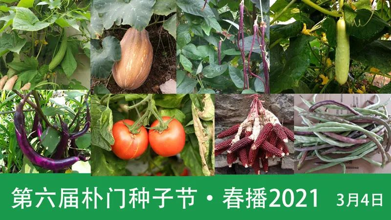 小面积种植经济价值最高_小面积种植致富_致富经靠种小麦