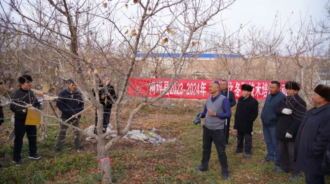 农村种植花卉的销路_农民花卉种植致富_种花致富经