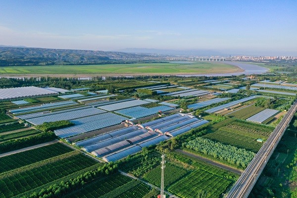 花生出口大国_花生出口致富经_花生出口现状