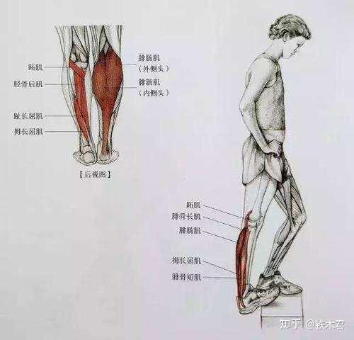 15天优质经验分享图片_优质精选图片_优秀经验分享ppt模板