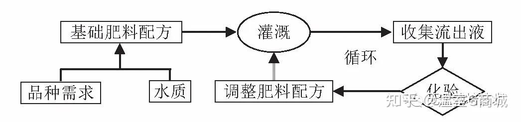 茄子夏季温室种植技术要点_温室茄子夏季种植技术_茄子夏季栽培技术