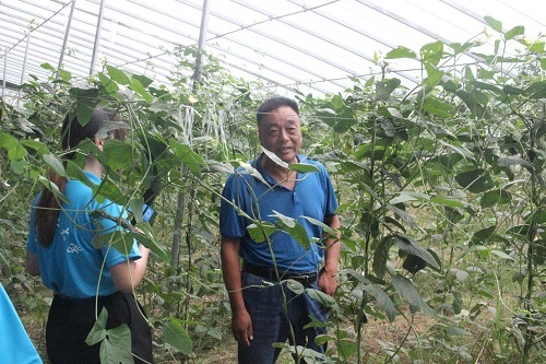 [计算机]学院“E夏逐梦”实践团参观蔬菜大棚，感受现代农业