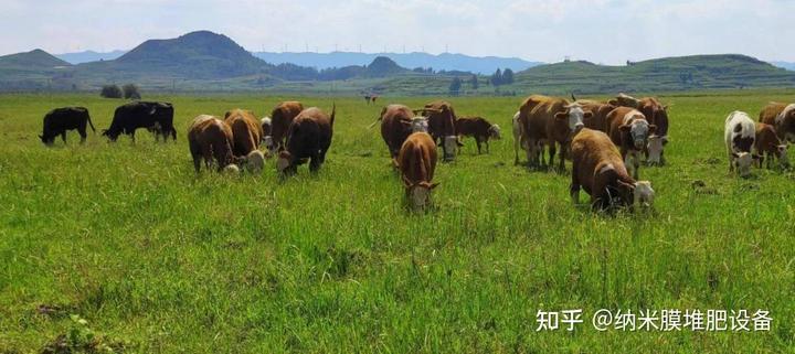 致富养殖意义和价值_致富养殖意义是什么_养殖致富的意义