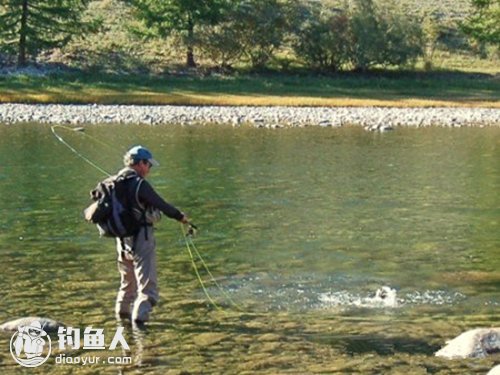 油葫芦养殖技术_葫芦养护油_油葫芦人工养殖视频