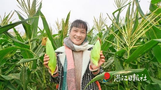 种植玉米走上致富路