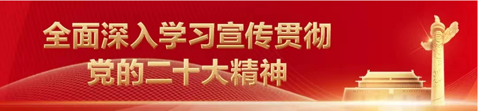 乡村振兴丨拜城：多胎羊养殖托起乡村振兴致富路