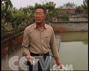 CCTV7致富经震泽镇龟鳖养殖_CCTV7致富经震泽镇龟鳖养殖_CCTV7致富经震泽镇龟鳖养殖
