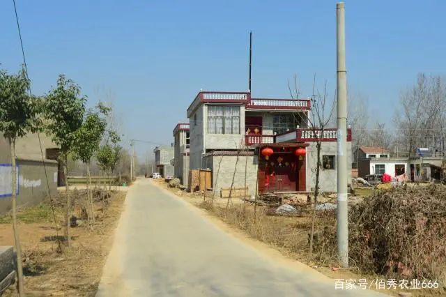 致富经种植中药材视频_药材种植致富项目_致富经视频中药材种植