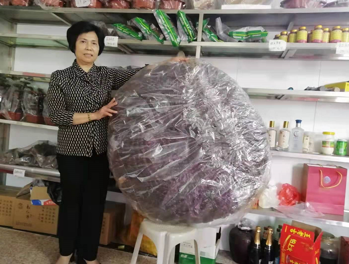 农民种植草菇致富_草菇种植效益_致富种植农民草菇图片