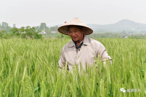 致富经珍珠鸡散养视频_致富经cctv7视频珍珠鸡_珍珠鸡扶贫