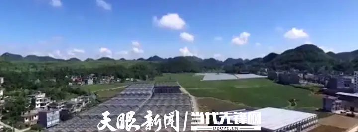 安龙：建设现代化蔬菜基地 促进群众增收致富