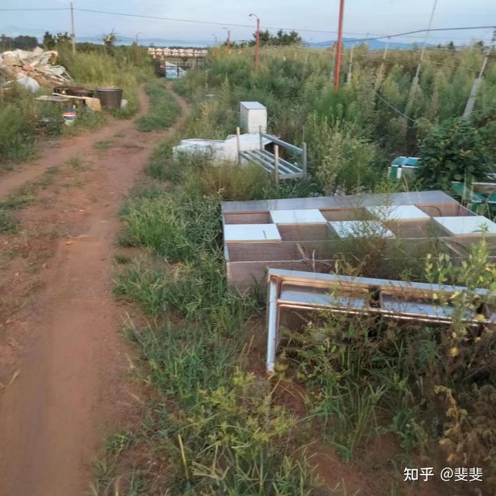 农场种植致富案例_农致富项目_致富经农业种植