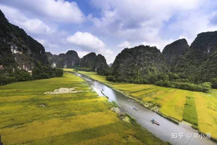 致富经农业种植_农致富项目_农场种植致富案例