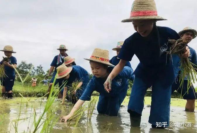 致富经农业种植_农致富项目_农场种植致富案例