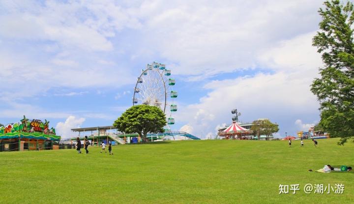 农致富项目_农场种植致富案例_致富经农业种植