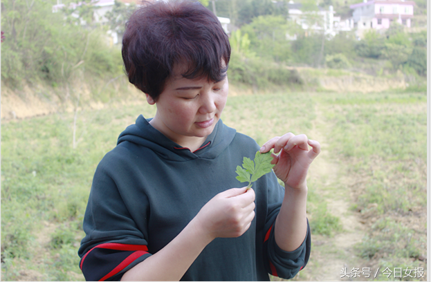 珍珠鸡扶贫_致富经cctv7视频珍珠鸡_致富经珍珠鸡散养视频