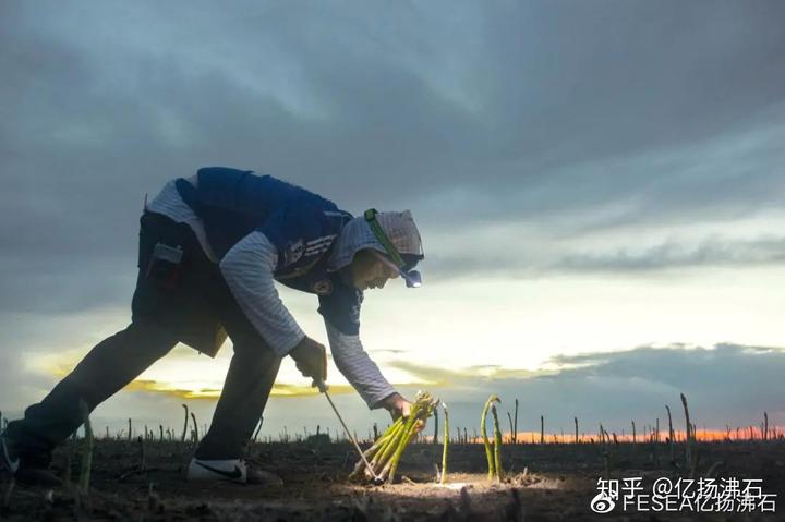 太空中种植技术_太空种植技术中心是什么_太空育种植物