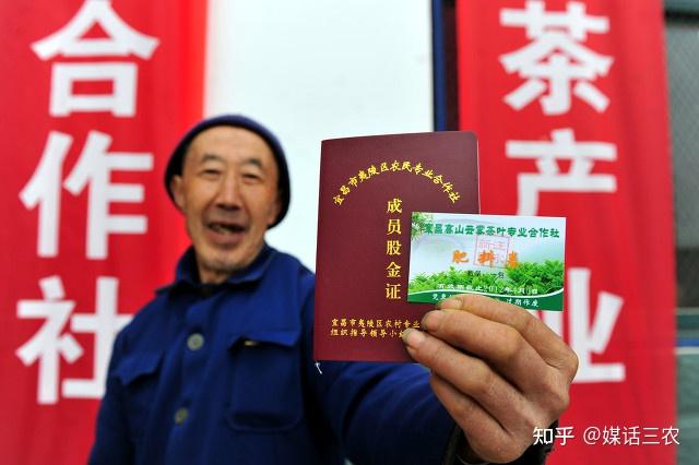 茶叶致富经_种植茶叶赚钱吗_茶叶怎么种植致富