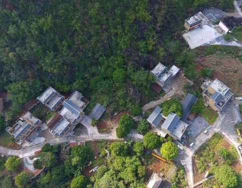 广西小山村筑巢引凤变“富强村”，靠的是这招