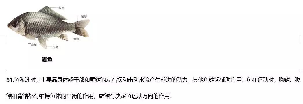 烟草种植技术视频大全_烟草怎么种植方法视频_烟草种植全过程