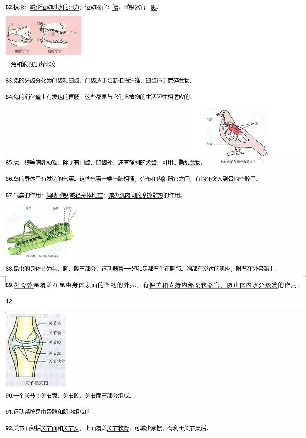 烟草种植技术视频大全_烟草种植全过程_烟草怎么种植方法视频