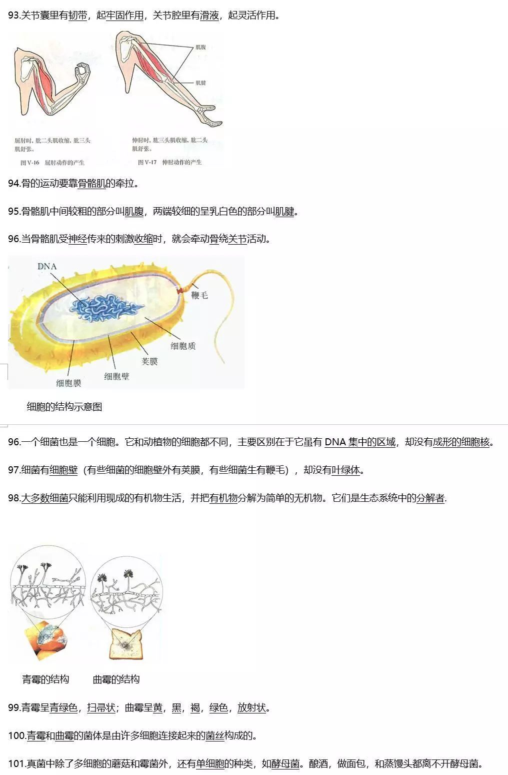 烟草种植技术视频大全_烟草怎么种植方法视频_烟草种植全过程