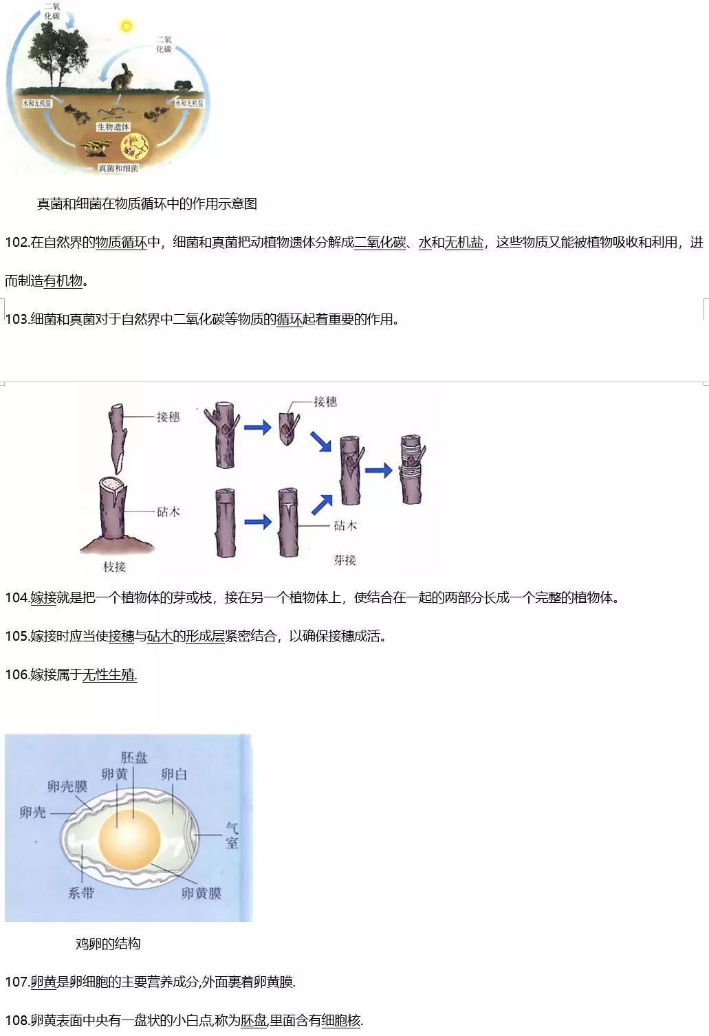 烟草种植技术视频大全_烟草种植全过程_烟草怎么种植方法视频