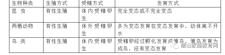 烟草怎么种植方法视频_烟草种植全过程_烟草种植技术视频大全