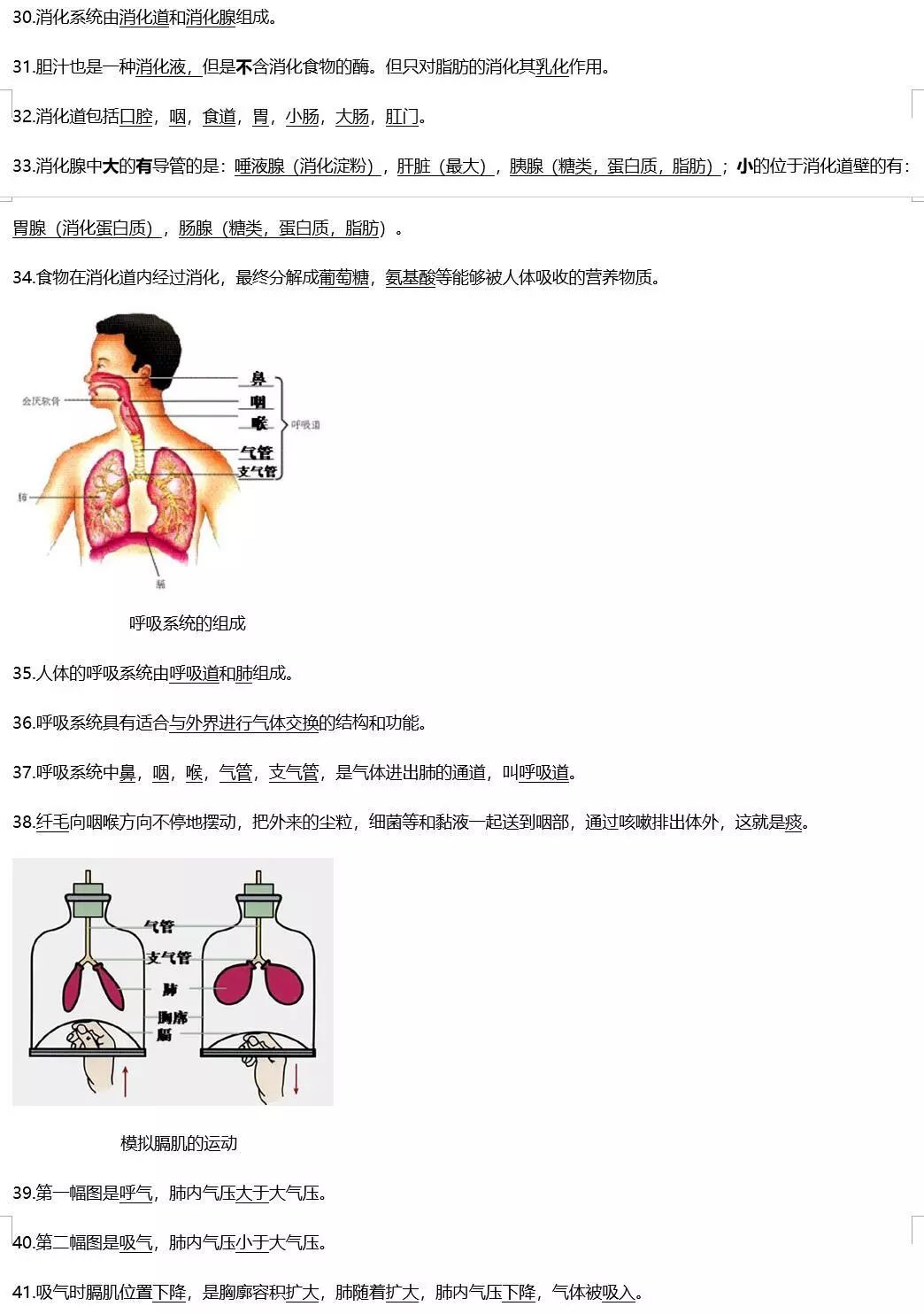 烟草怎么种植方法视频_烟草种植技术视频大全_烟草种植全过程