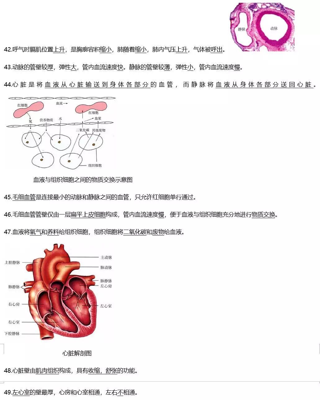 烟草怎么种植方法视频_烟草种植全过程_烟草种植技术视频大全