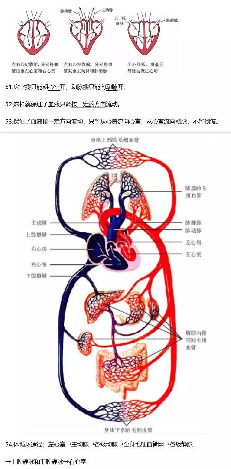 烟草种植技术视频大全_烟草怎么种植方法视频_烟草种植全过程