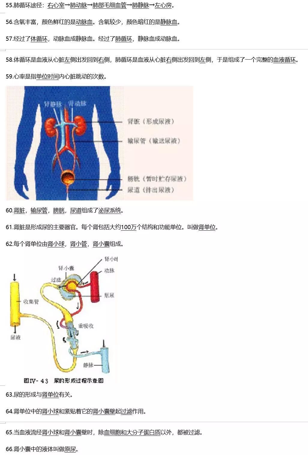 烟草怎么种植方法视频_烟草种植全过程_烟草种植技术视频大全