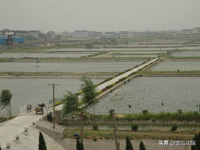 泥鳅池套养鲢、鳙、鲫鱼技术