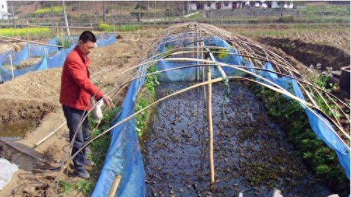 农民致富有门道，养蛙竟然30亩地赚百万