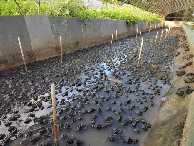 海水养殖致富宝典_海水养殖好项目_海水养殖什么最赚钱