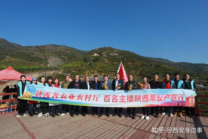 农村柑橘种植致富_致富柑橘种植农村图片大全_种植柑橘的前景